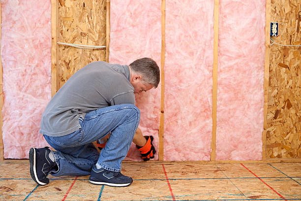 Best Cellulose Insulation in Lakeside Park, KY