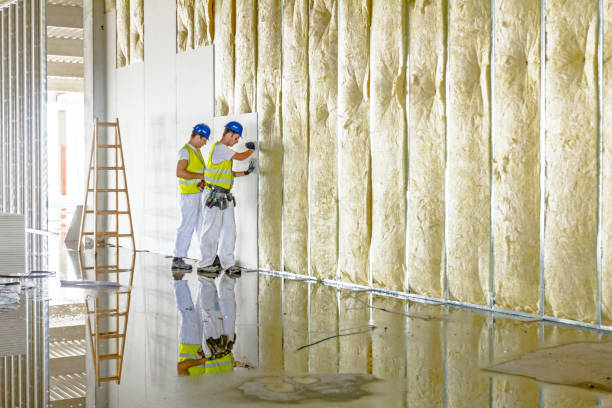 Best Geographic-Specific Insulation Services in Lakeside Park, KY
